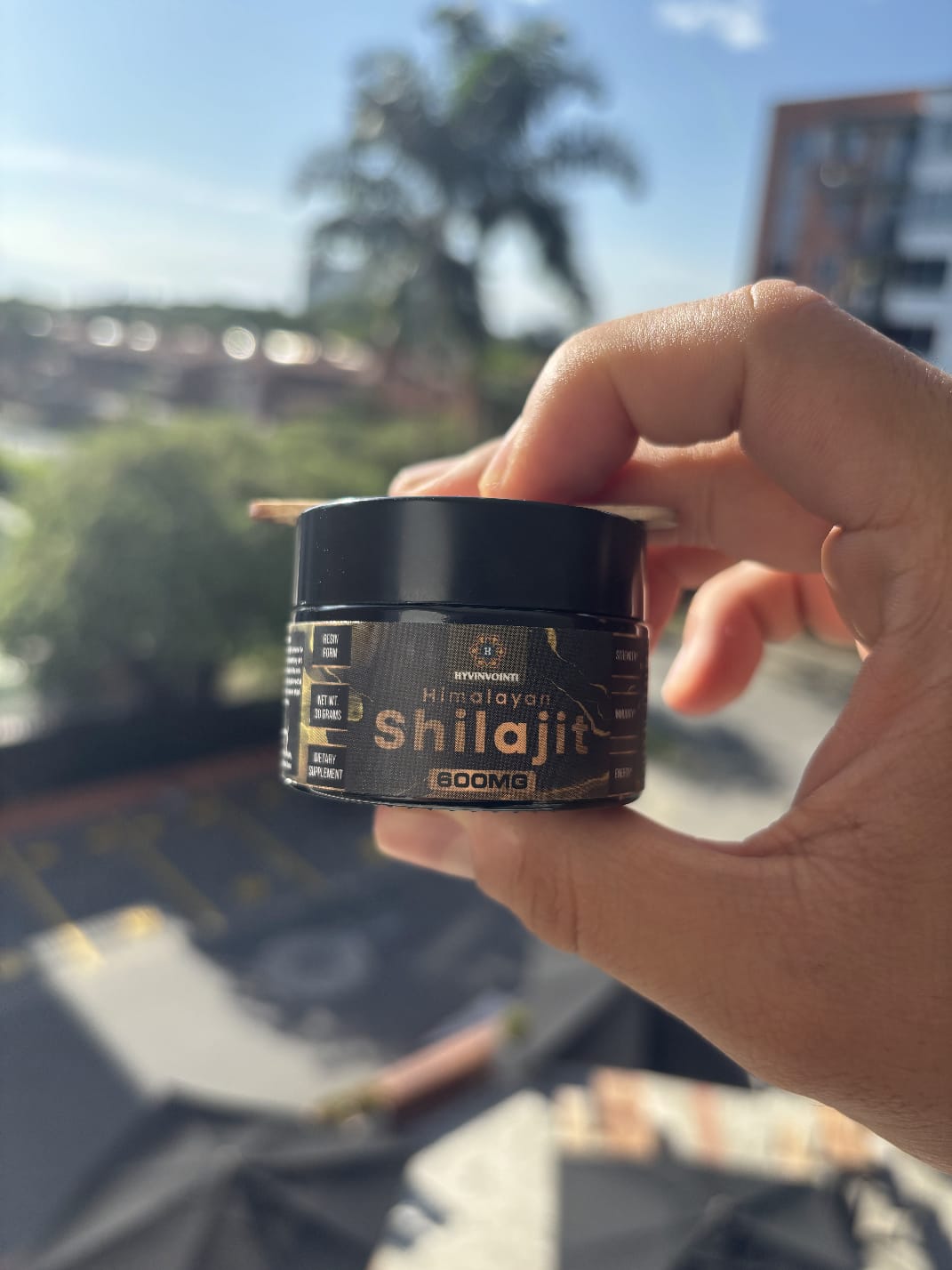 Shilajit 30g resin